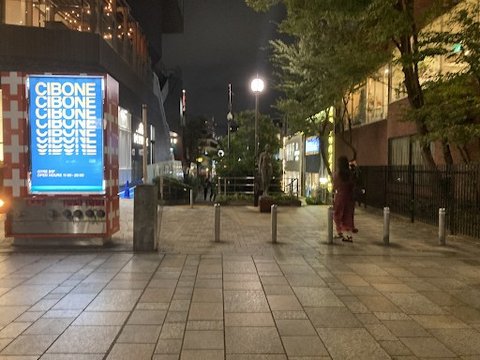 Goddess Statue on Fashion Street